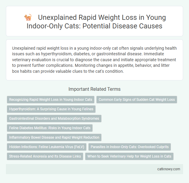 Unexplained Rapid Weight Loss in Young Indoor-Only Cats: Potential Disease Causes
